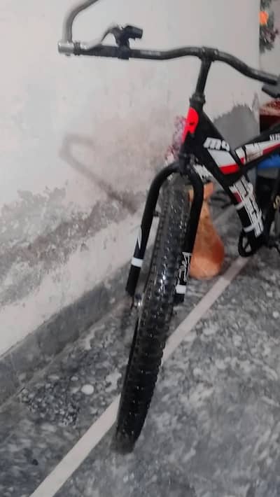 Bi cycle