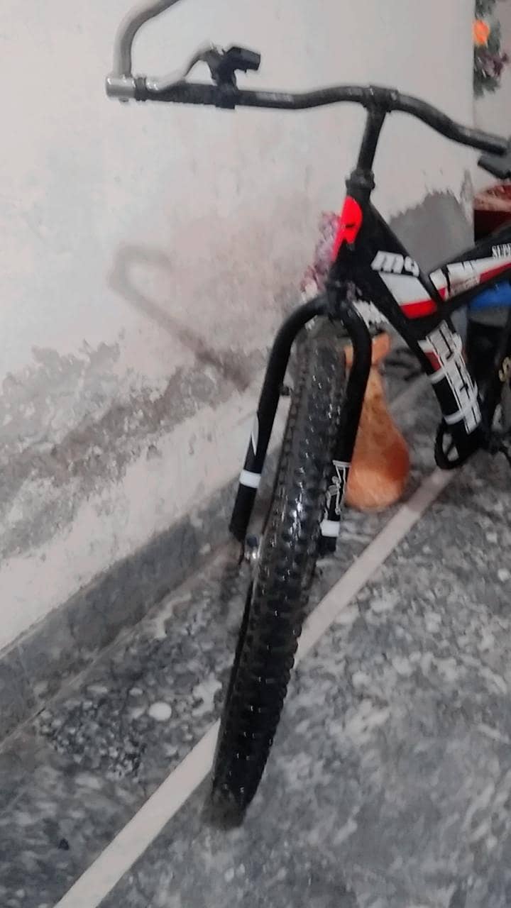 Bi cycle 0
