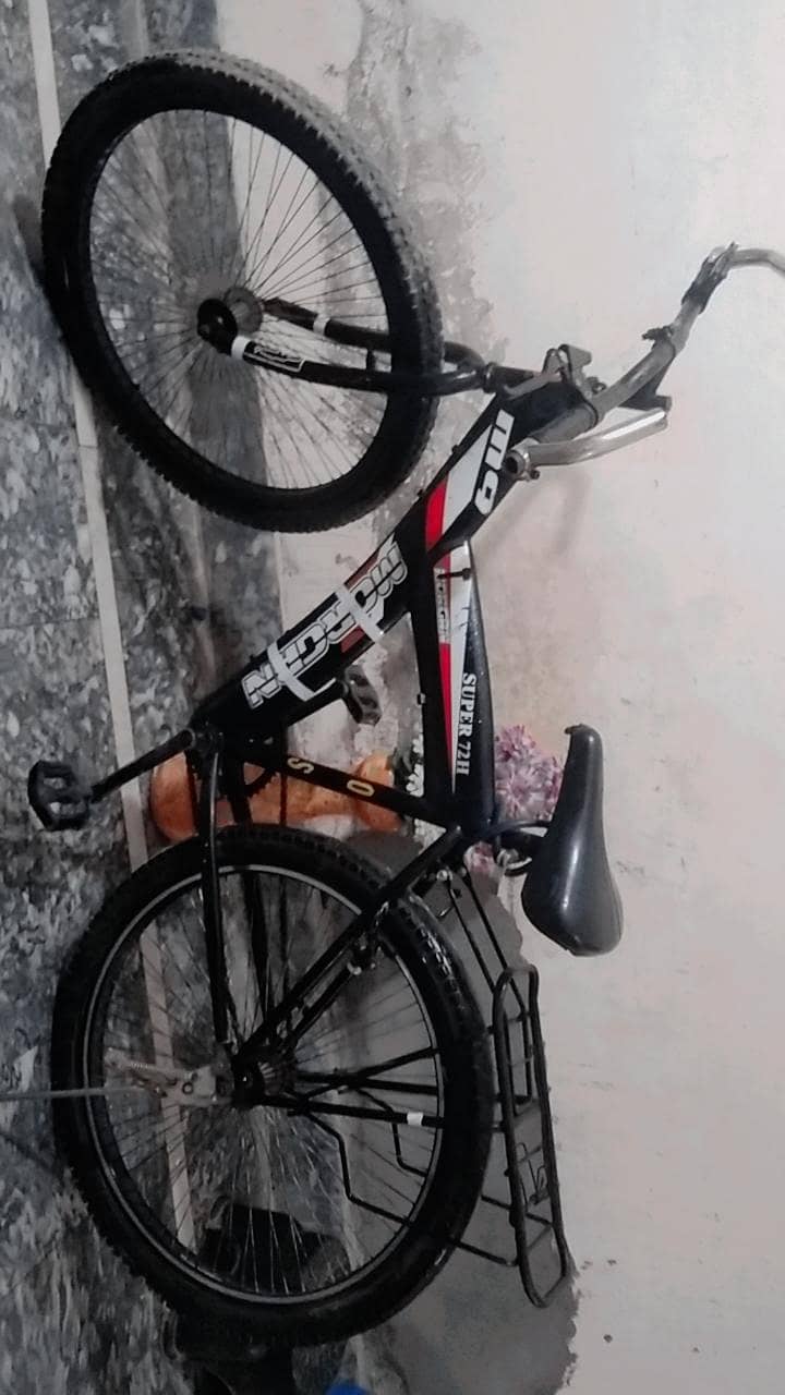 Bi cycle 2