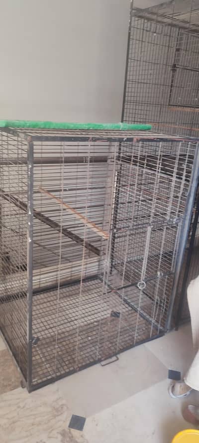 RAW BIRDS CAGES FOR SALE BIG SIZE 03199340257
