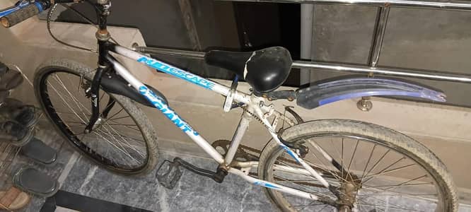 cycle for sale