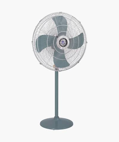 Pandistal Fan  //03064604048