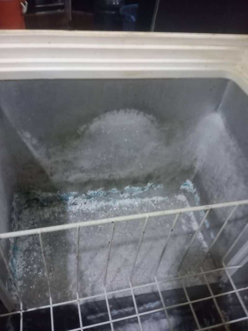 waves freezer 4