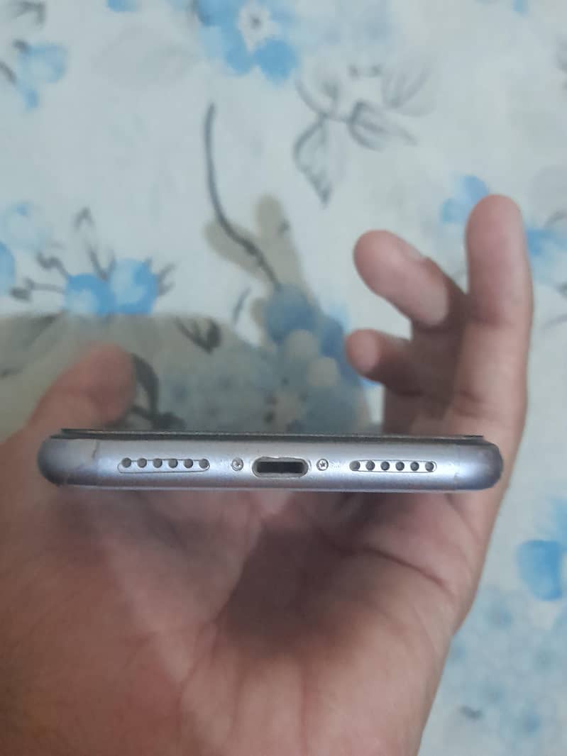 Apple iPhone 11 2