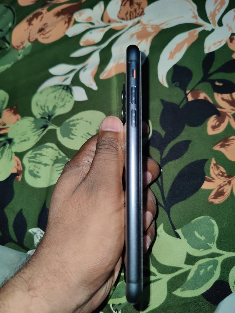 Apple iPhone 11 0