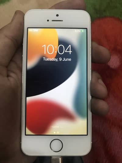 iPhone 5SE 2016 Bypassed