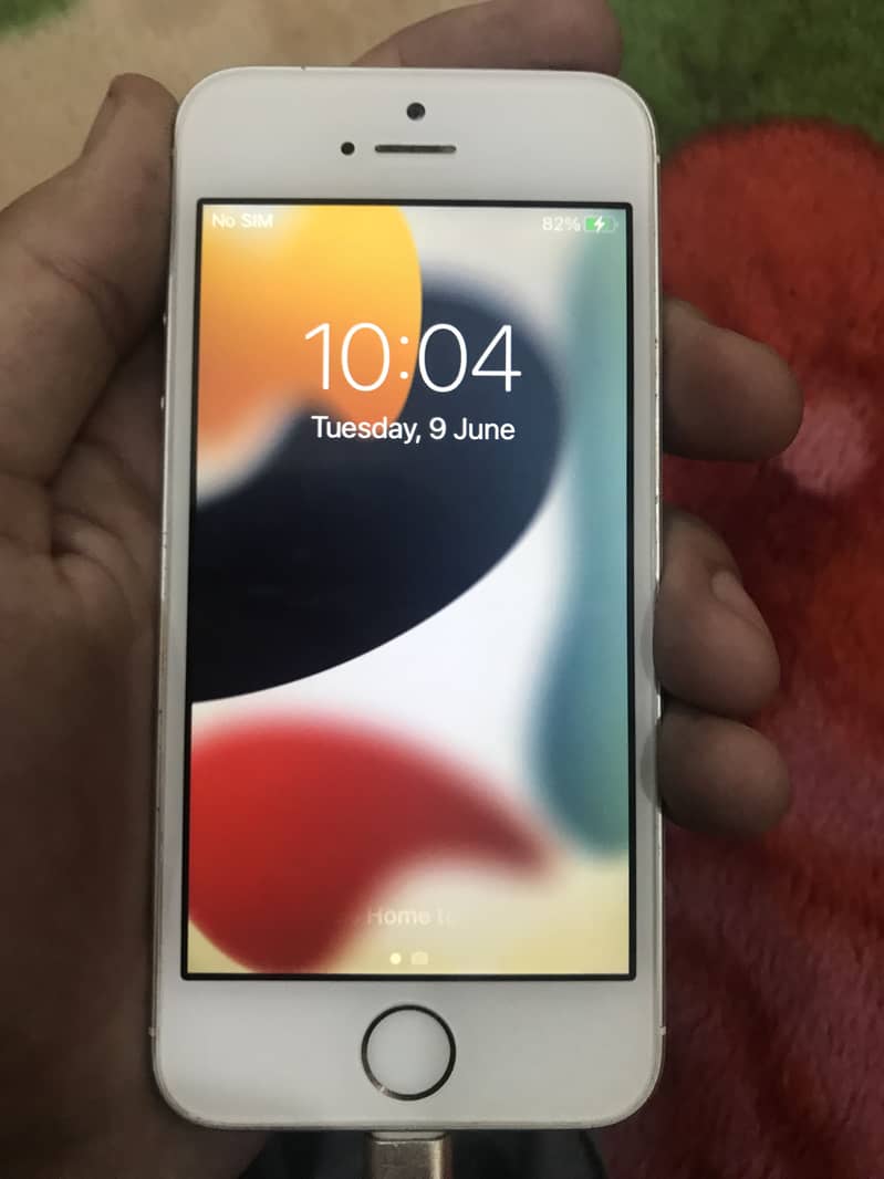 iPhone 5SE 2016 Bypassed 0