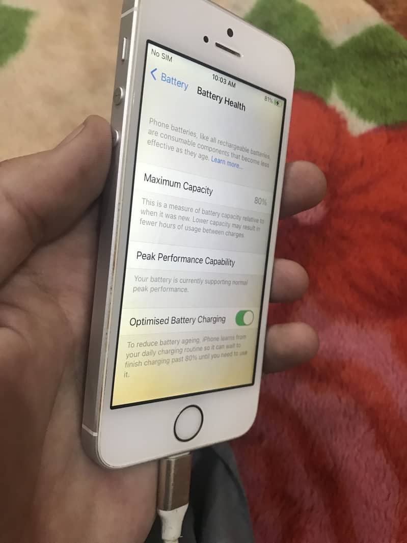 iPhone 5SE 2016 Bypassed 4