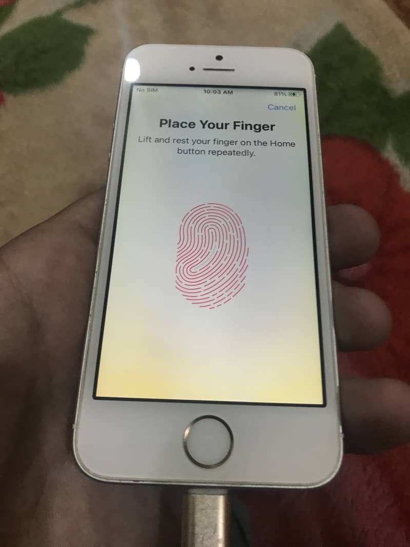 iPhone 5SE 2016 Bypassed 6