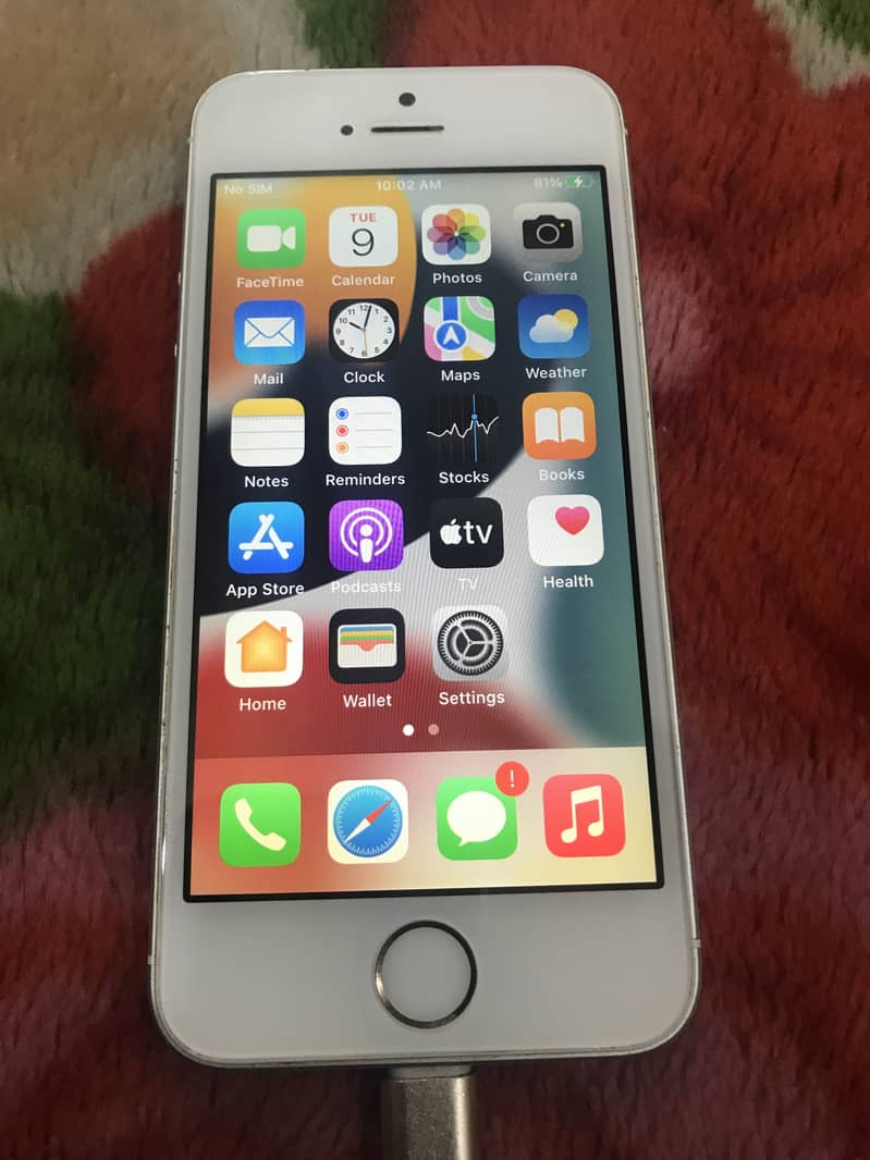 iPhone 5SE 2016 Bypassed 19