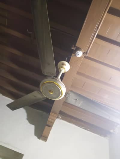 CEILING fan 2 GFC,,,AND 2 PAK FAN 56"