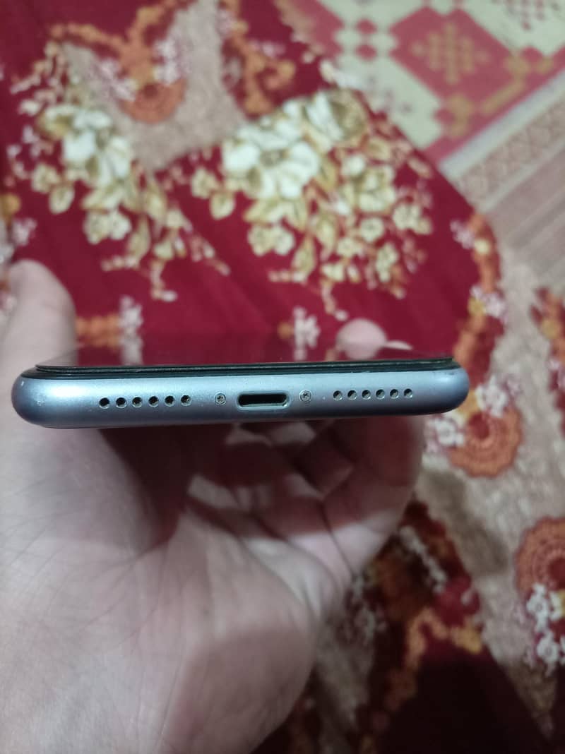 Apple iPhone 11 1