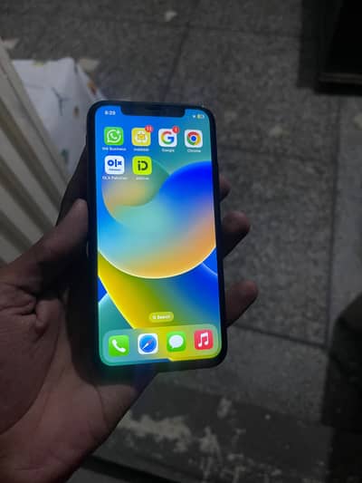 Apple iPhone X