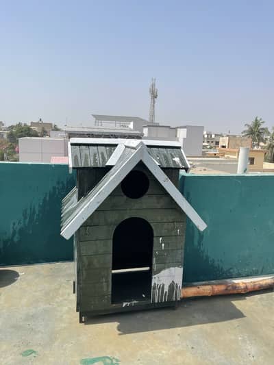 Dog house luxury