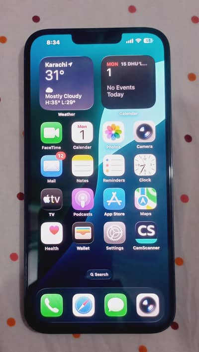 Apple iPhone 13 Pro Max