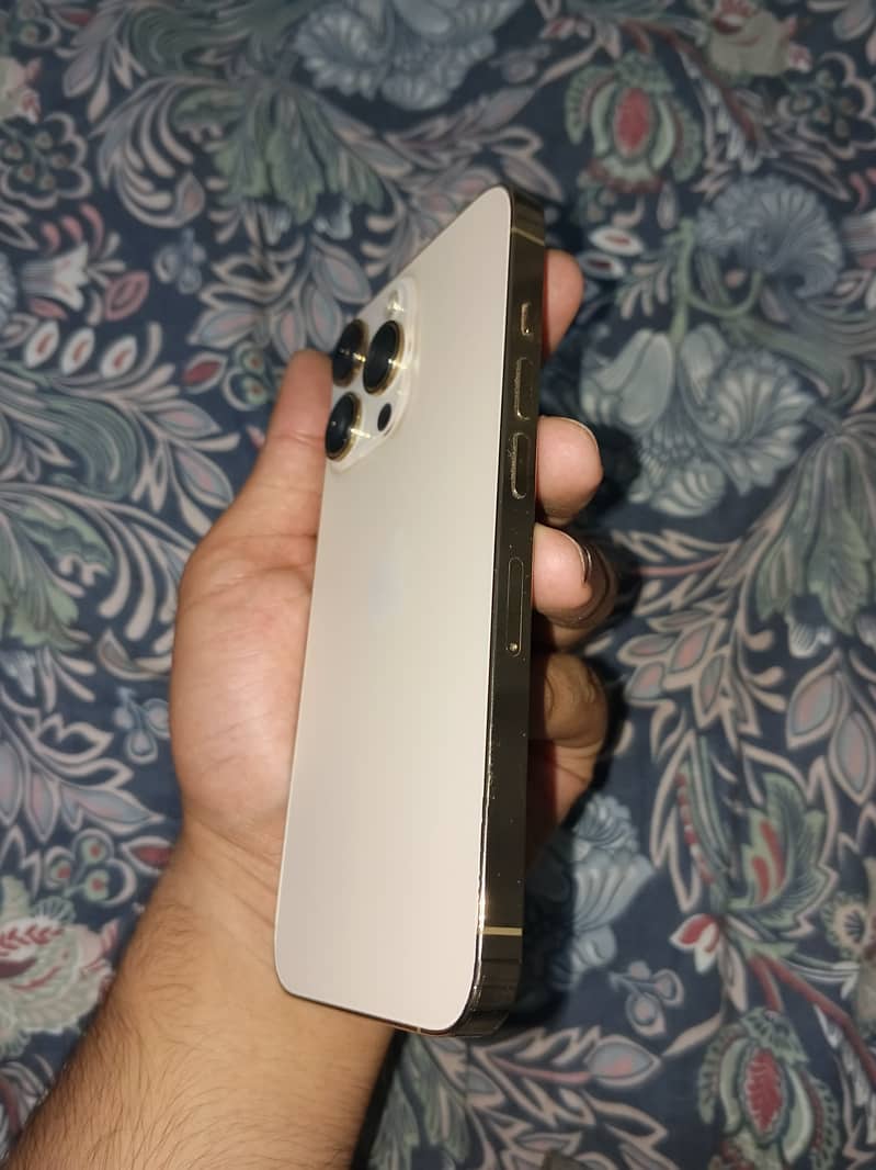 Apple iPhone 13 pro 2
