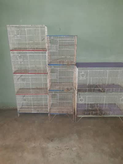 Parrots Cage