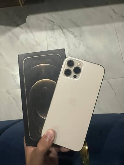 Apple iPhone 12 Pro Max