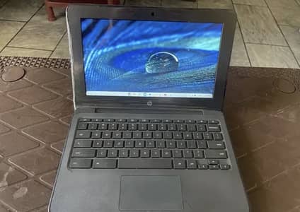 hp chromebook