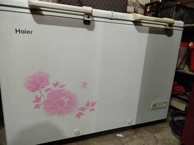 freezer