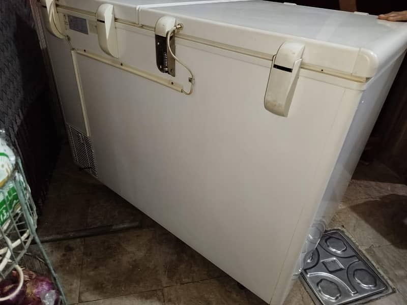 freezer 6