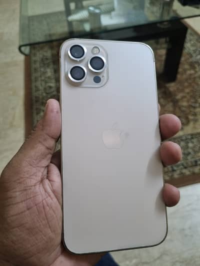 Apple iPhone 12 Pro Max