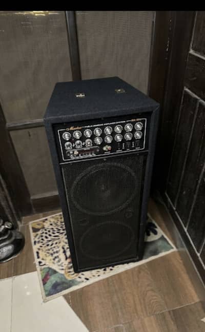 Speaker heavy speaker 12*2 woofer inch