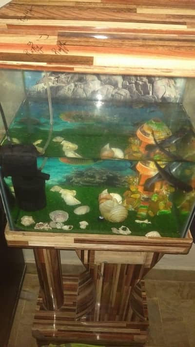 fish tank