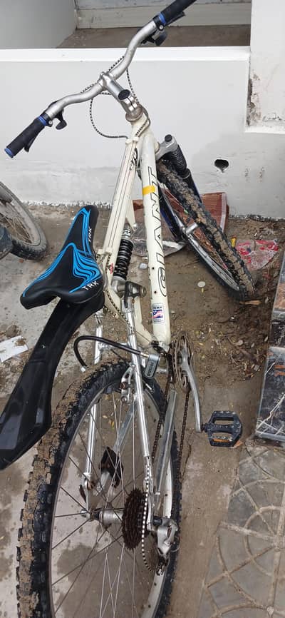 Giant Bike