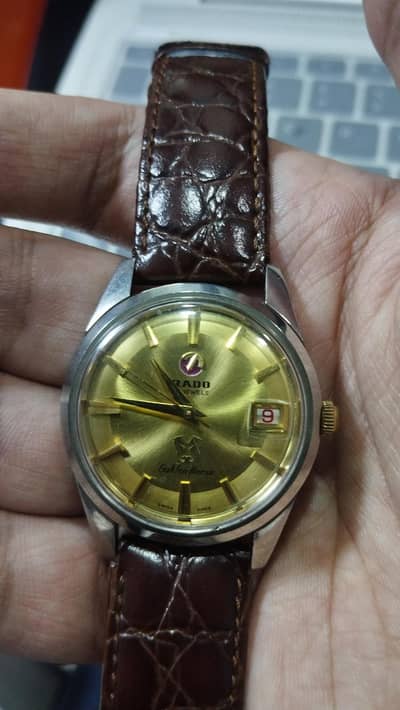 VINTAGE RADO GOLDEN HORSE