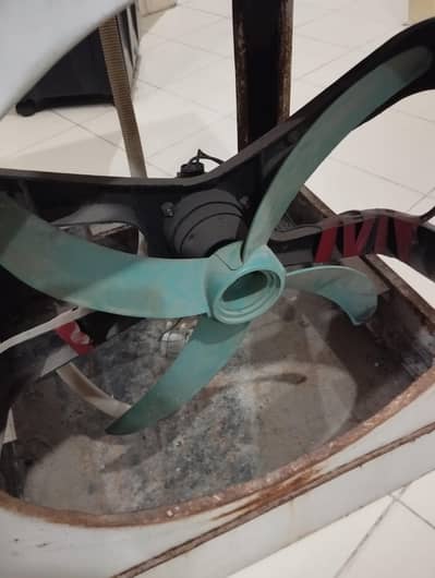coler for sale