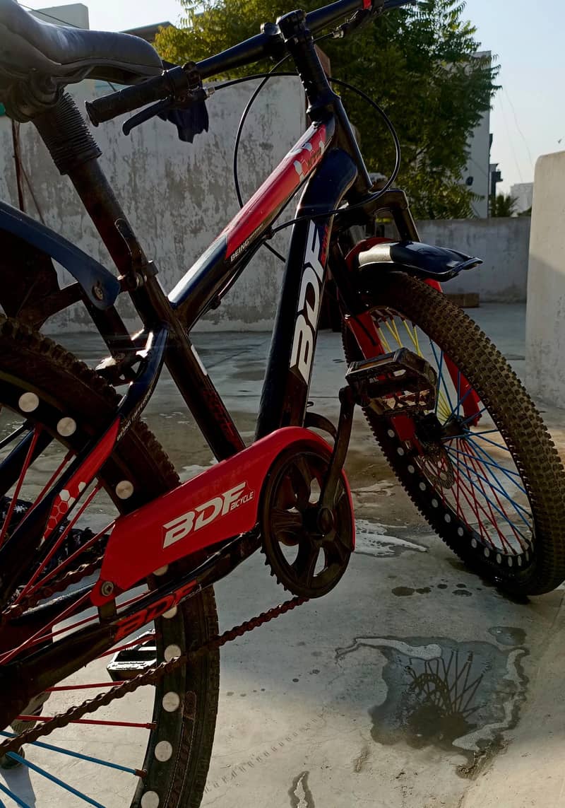 BDF Bicycle 1