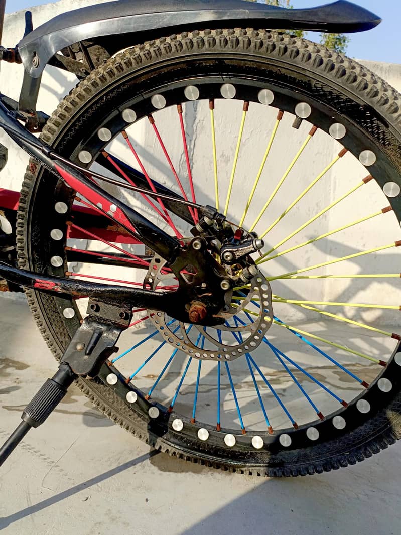 BDF Bicycle 5