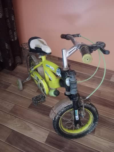 By Cycle