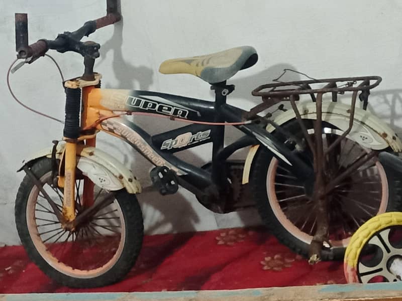 usad bicycles 1
