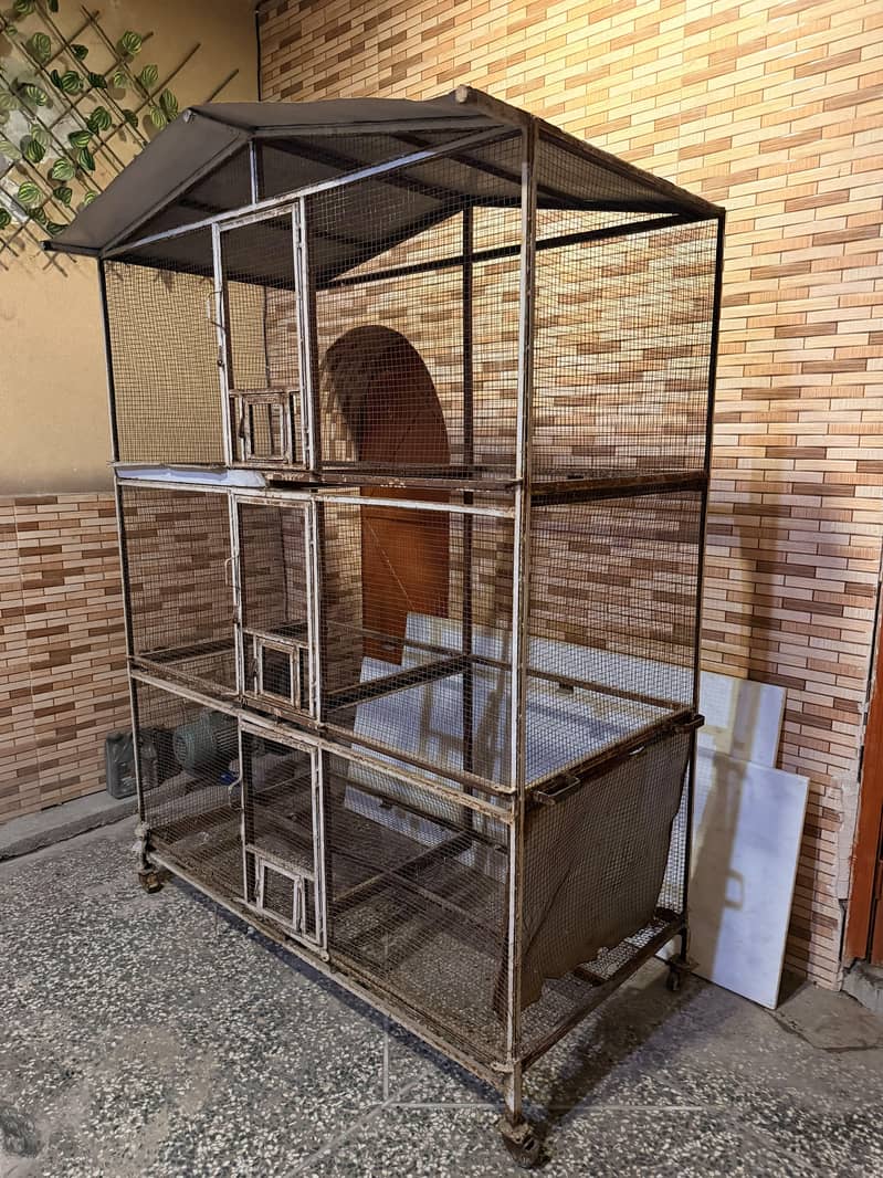birdcage 1