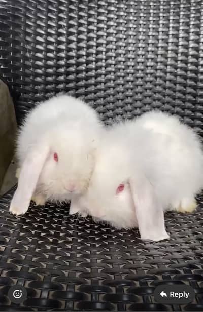 Fuzzy loop