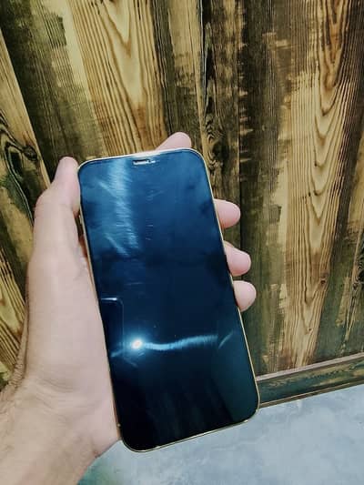 Apple iPhone 12 Pro Max