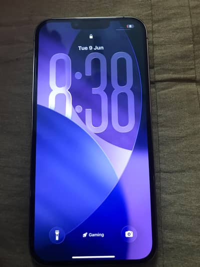 Apple iPhone 13 Pro Max