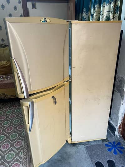 PEL fridge