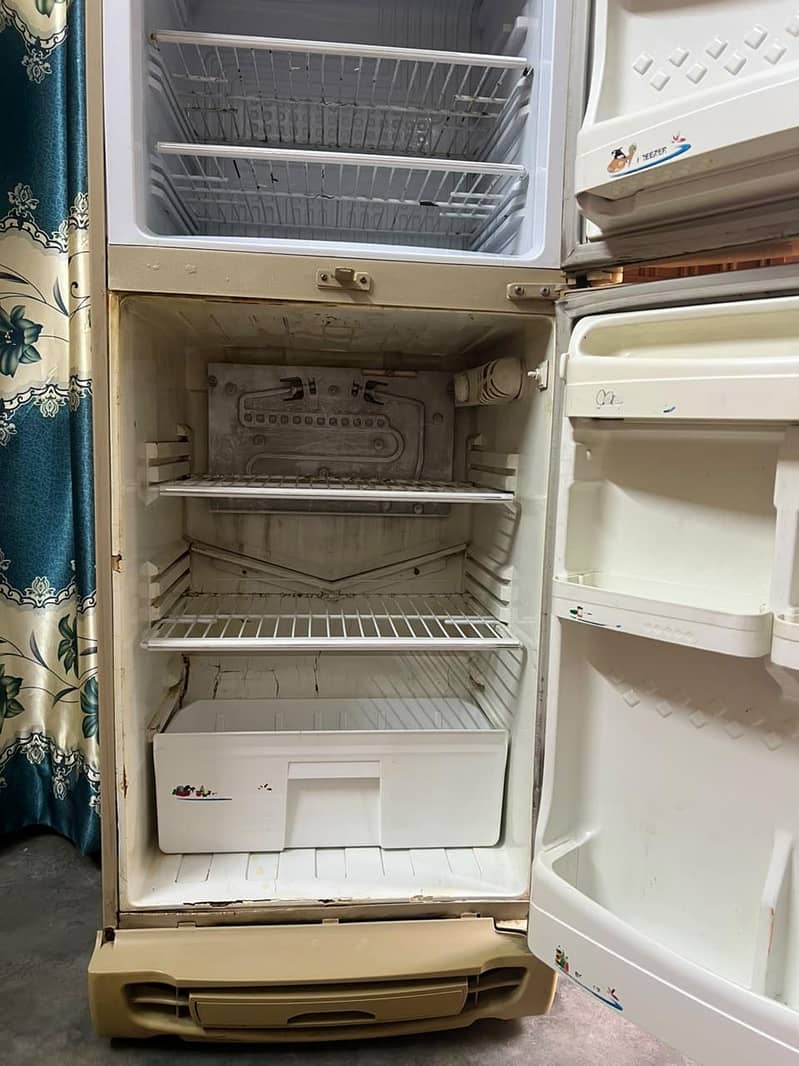 PEL fridge 4