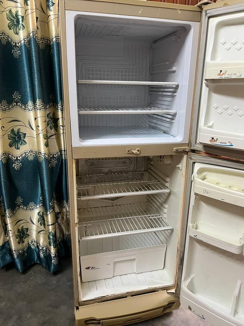 PEL fridge 6