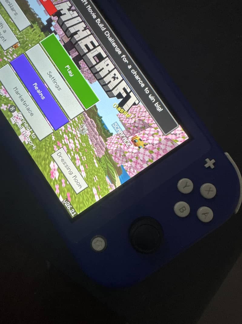 Nintendo switch lite 6