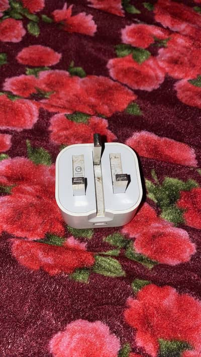 iPhone Original Charger