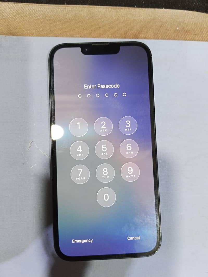 Apple iPhone 13 0