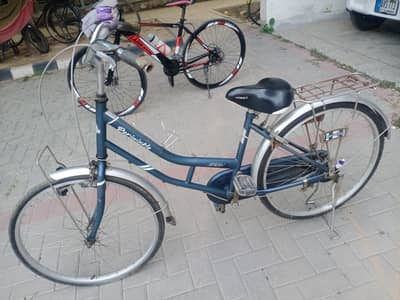 Full size Japanese