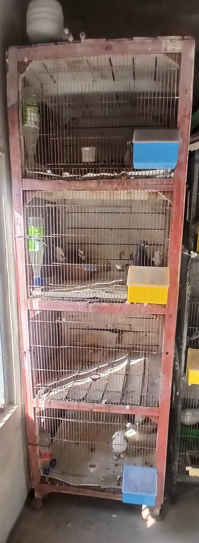 4 portion cage 3417364953