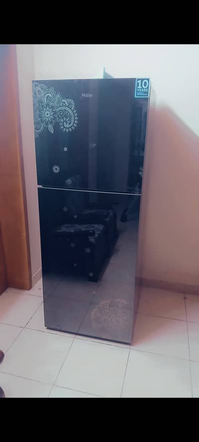 haier glass door fridge full Large size