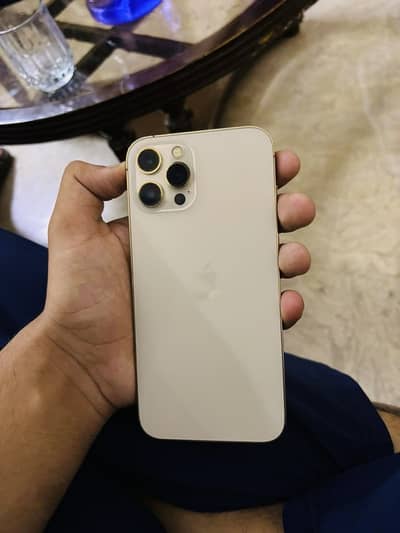 Apple iPhone 12 Pro Max