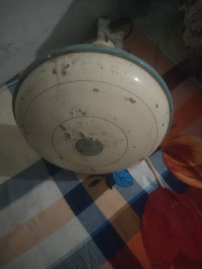 asian fan